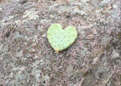 Big Bend Chihuahuan Desert Prickly Pear Cactus Heart