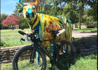 QR Bike and Cow in Austin